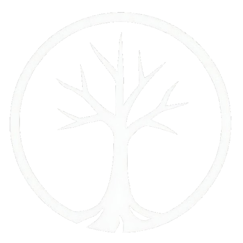 striano_scripts logo